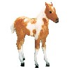 19 - Breyer Horse - Stormy